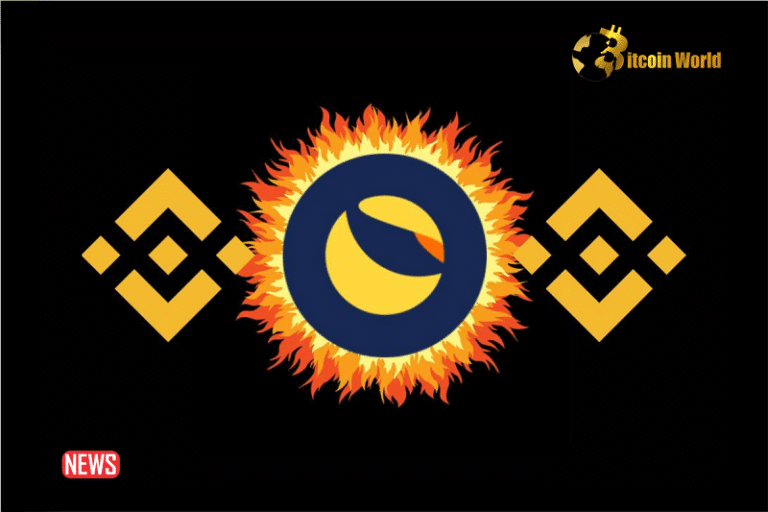 Add 3 Additional Binance Wallets to the Burn Tax Whitelist