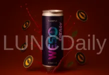 WESO Energy: A New Real-World Asset Project Launches on Terra Classic