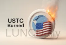 Over 244K USTC Burned in Just 4 Days
