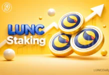 LUNC Staking Ratio Increases Despite Price Decline – What Is Really Happening?