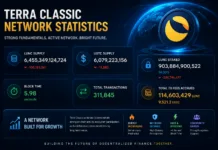 Terra Classic Records Over 311K Transactions as LUNC Supply Continues to Decline Terra Classic blockchain dashboard displaying LUNC supply, USTC supply, 903 billion LUNC staked, 311,845 transactions, 5.98-second block time, and accrued transaction fees.