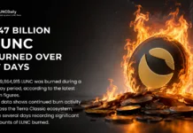 Over 1.4 Billion LUNC Burned in 17 Days as Burn Activity Remains Strong