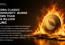 Terra Classic Community Burns More Than 455 Billion LUNC