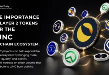 Why Layer 2 Tokens Matter for the LUNC On Chain Economy