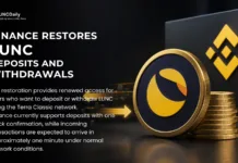 Binance Restores LUNC Deposits and Withdrawals