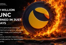 Terra Classic Burns Nearly 690 Million LUNC in Five Days