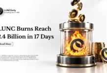 LUNC Burns Surpass 2.4 Billion in September